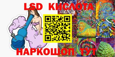 сатива Лесосибирск