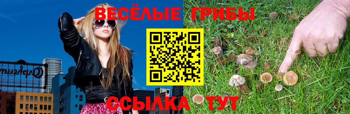 Галлюциногенные грибы Cubensis Изобильный