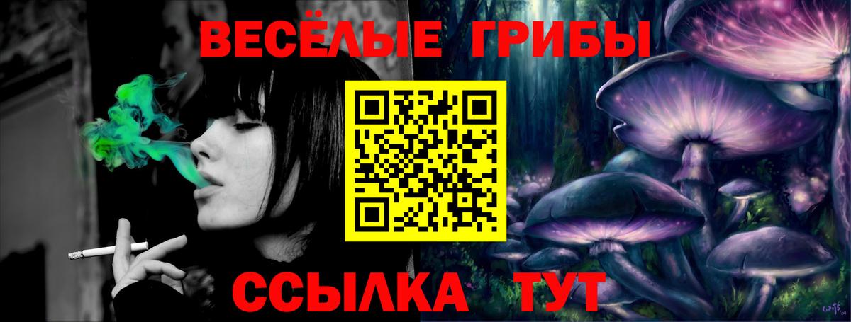 магазин  наркотиков  Псилоцибиновые грибы ЛСД  Изобильный  Вход с VPN  Псилоцибиновые грибы GOLDEN TEACHER 